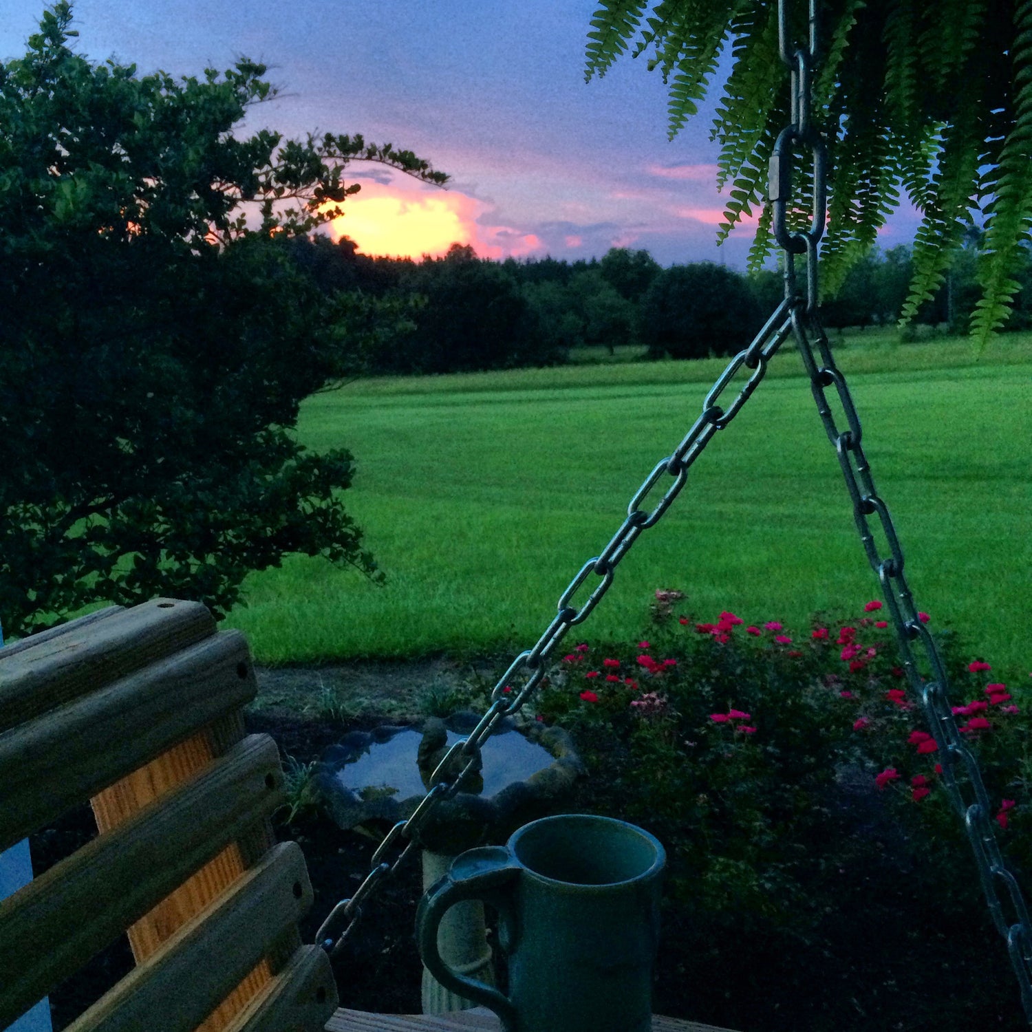 A Florida Summer